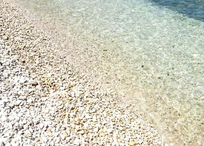 Il Porto E Di Casa Trani